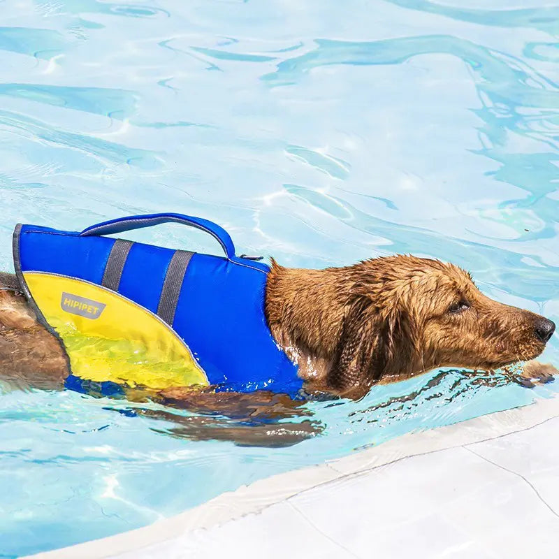 Dog Life Jacket for Small, Medium, and Large Pets